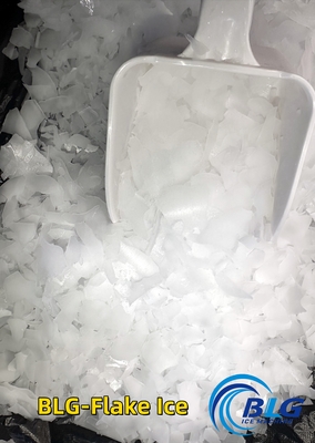 BLG High Quality Energy-efficient Stainless Steel Air-cooled 1.5Ton Automatic Flake Ice Machine for Concrete Cooling Industrial